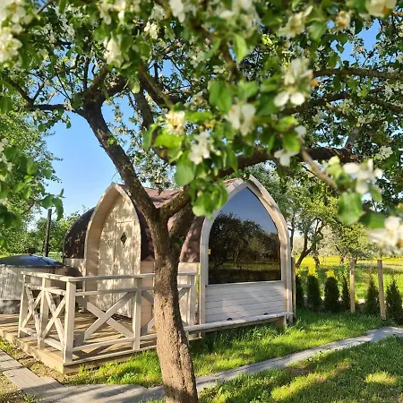 Romantic In Apple Tree Park - Vintage Gaz-63